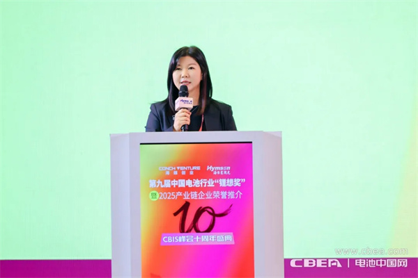 荣耀绽放,开启新能源电池产业辉煌新征程 荣耀绽放,开启新能源电池产业辉煌新征程